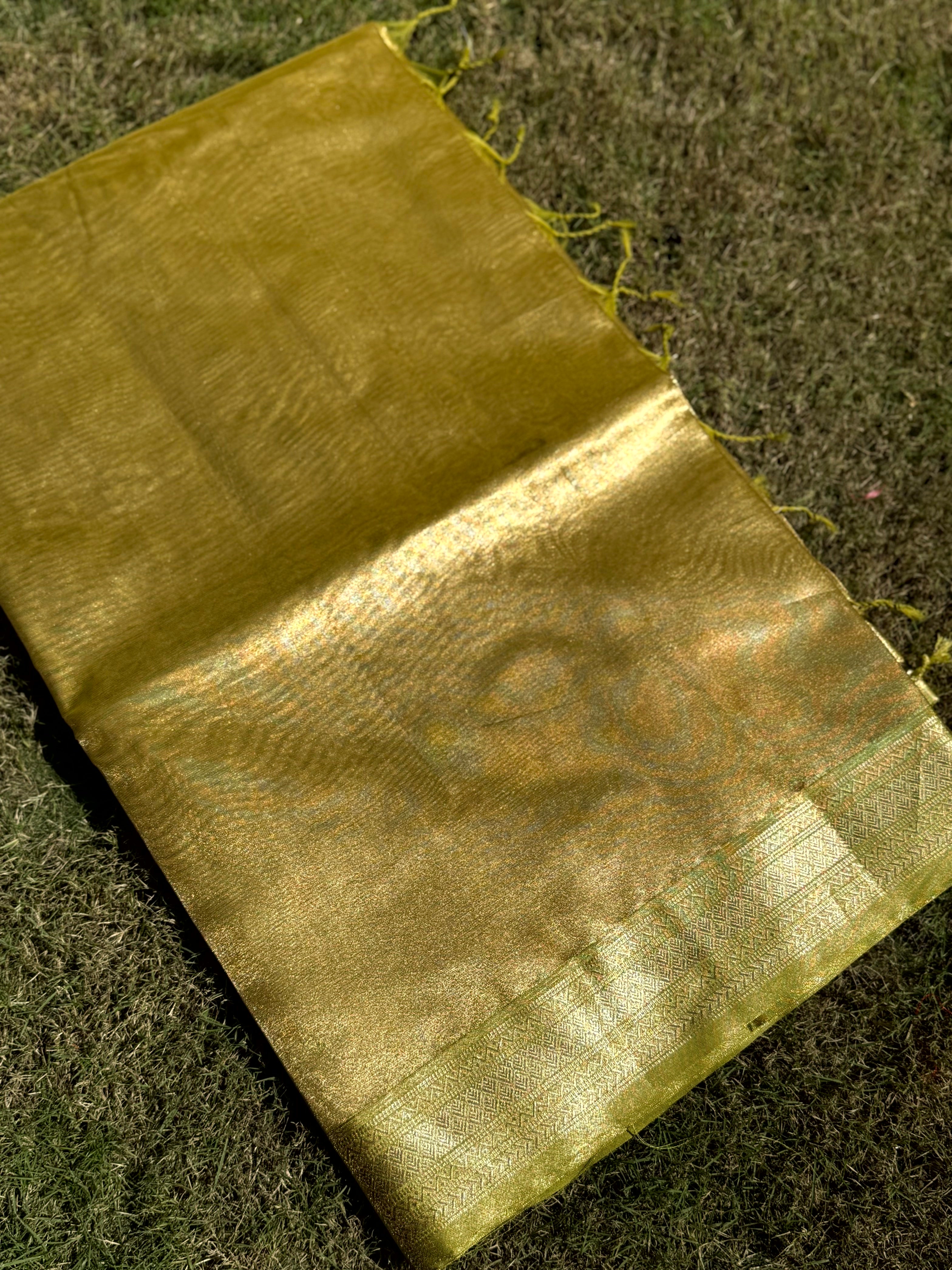 Elegant Green Gold Zari Tissue Saree