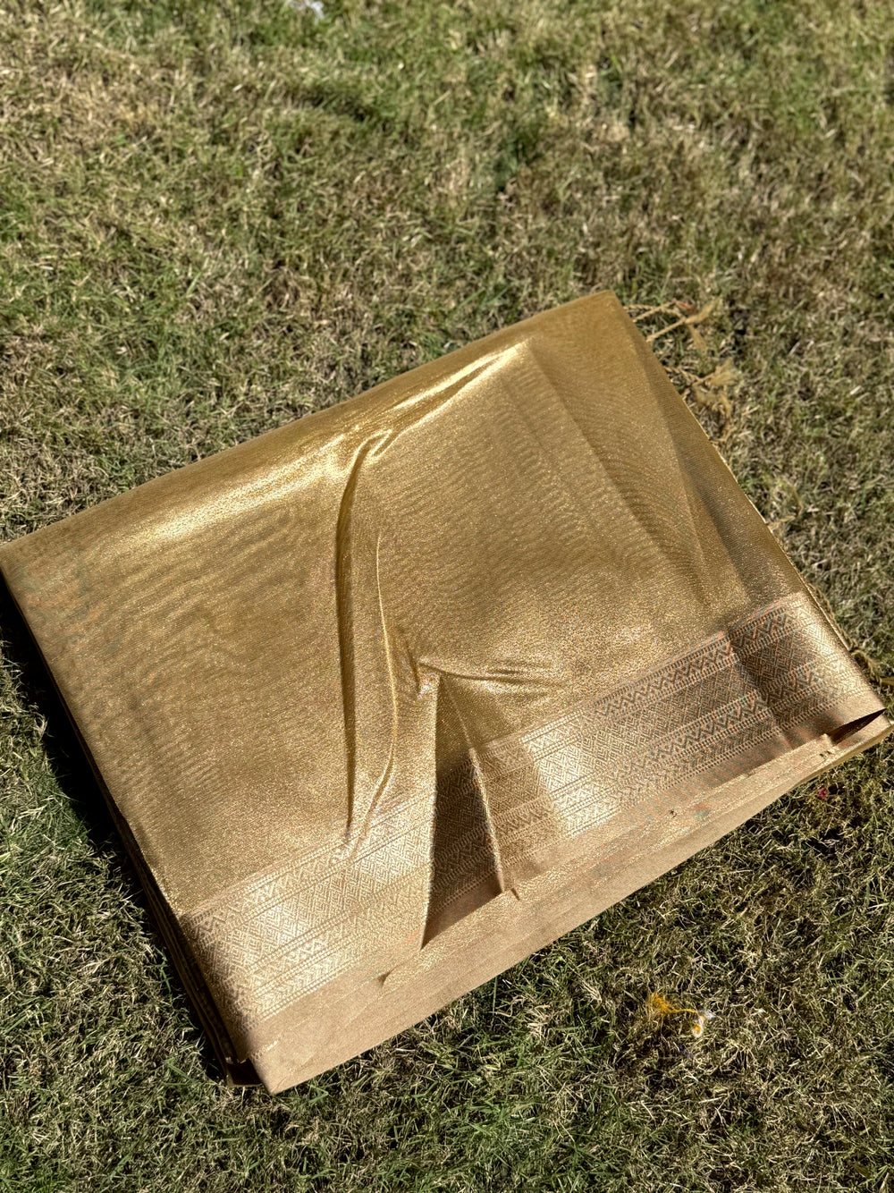 Radiant Brown Gold Zari Tissue Saree
