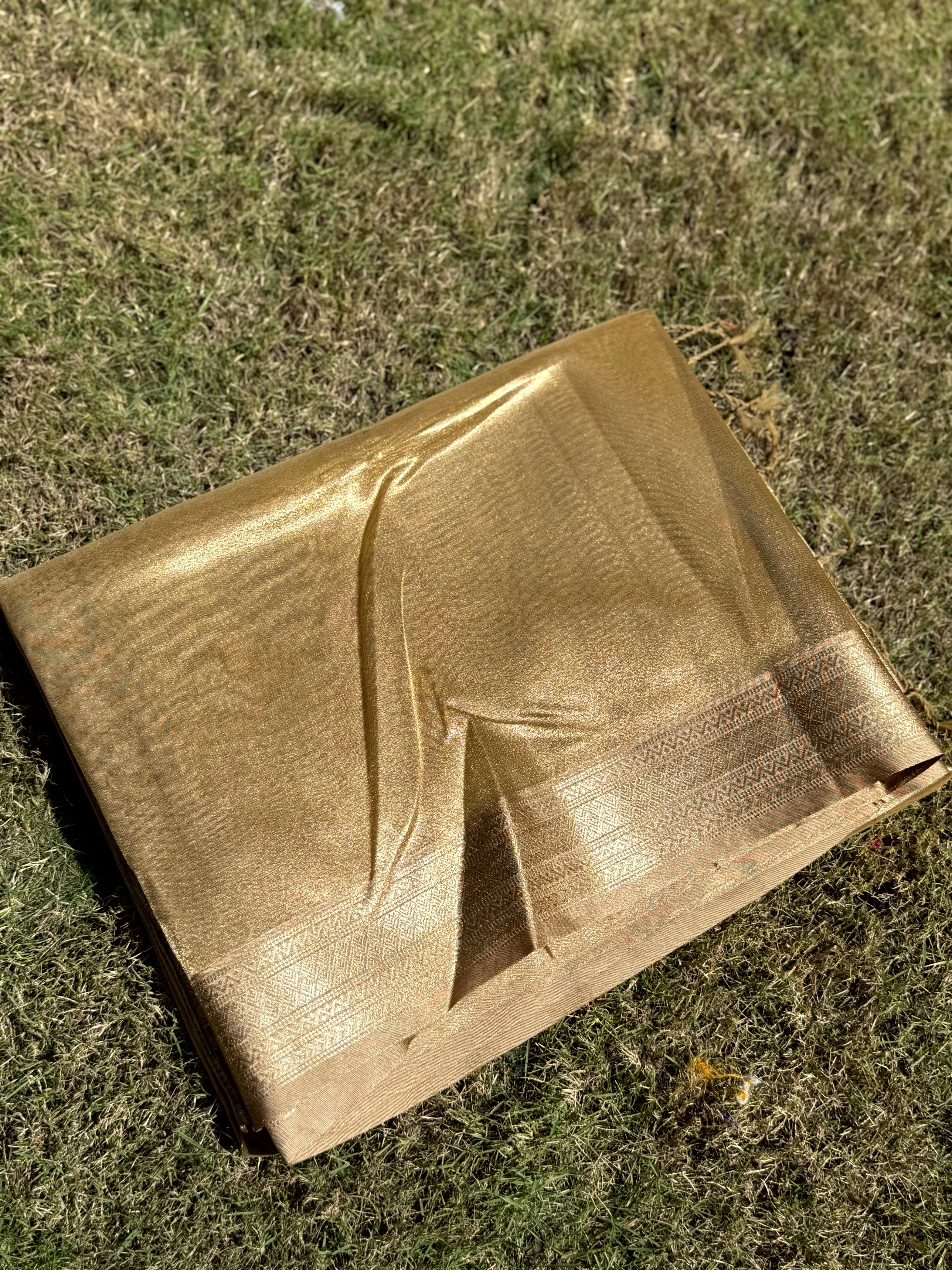 Radiant Brown Gold Zari Tissue Saree