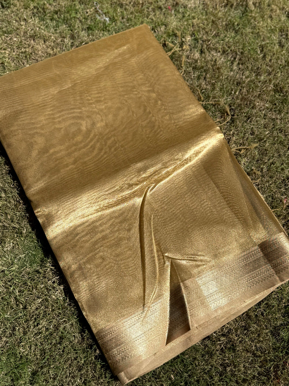 Radiant Brown Gold Zari Tissue Saree