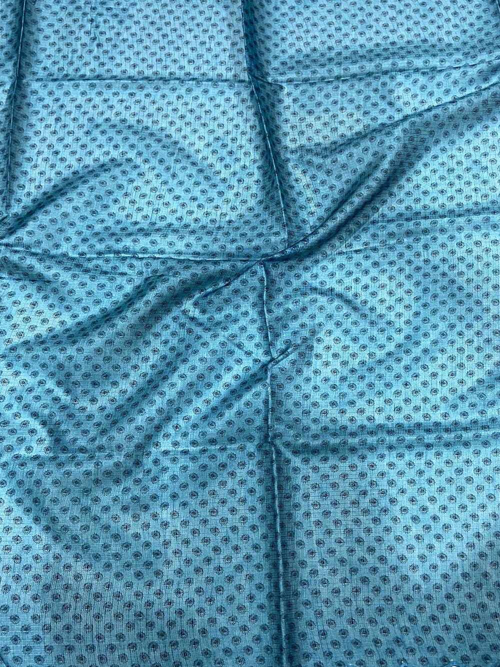 Blue Kota Doriya Kalamkari Saree
