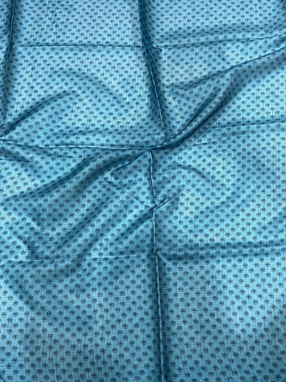 Blue Kota Doriya Kalamkari Saree