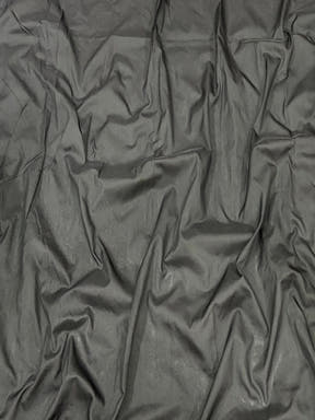 Olive Elegance Kanjivaram Saree