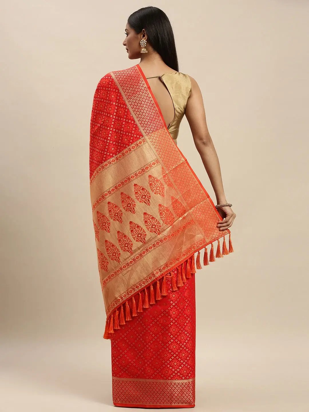 Soft Banarasi Patola Zari Saree