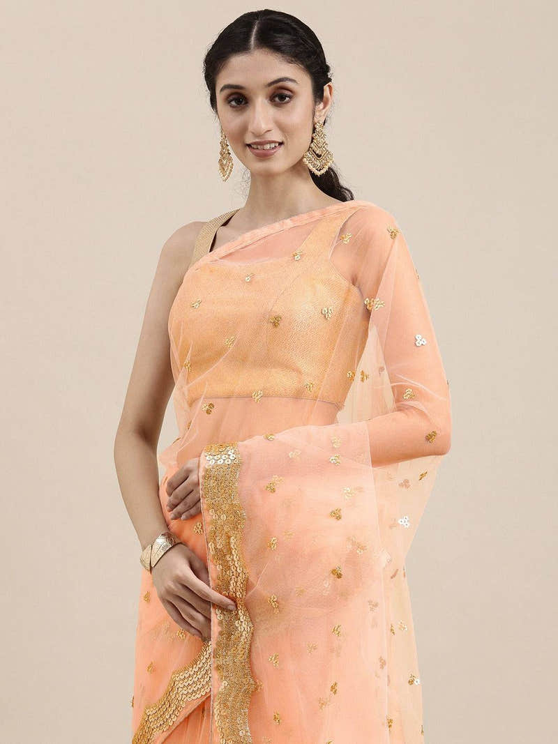 Exclusive Soft Net Sequence Work Party Wear Saree