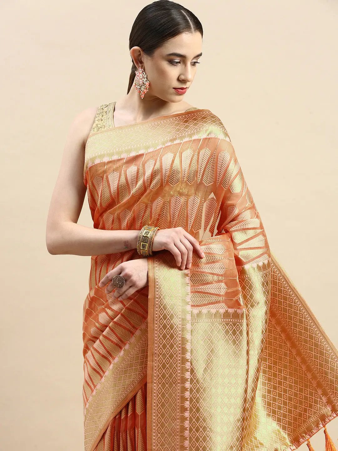  Pure Organza Banarasi Zari Motif Designer Saree 