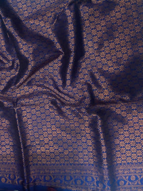 Sky Blue Tussar Silk Zari Weaving Ikkat Saree

