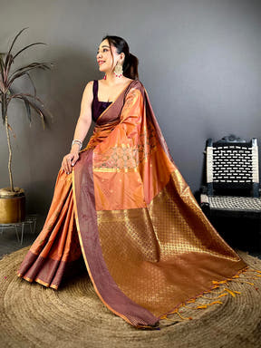 Celebrity Soft Silk Ikkat Pochampally Saree