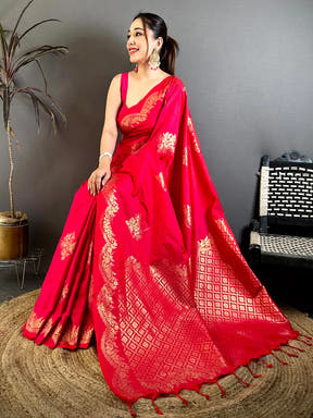 Exclusive Soft Silk Jewellery Border Saree