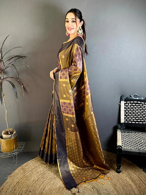 Opulent Gold Pochampally Weaving Soft Silk Saree