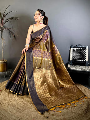 Opulent Gold Pochampally Weaving Soft Silk Saree