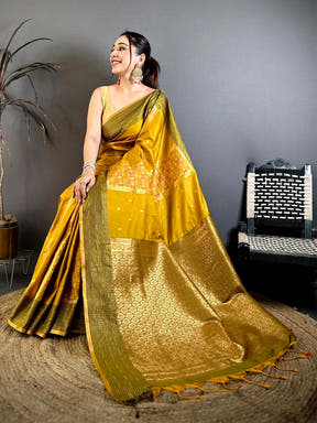 Radiance Soft Silk Ikkat Pochampally Saree