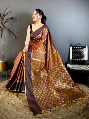 Regal Soft Silk Ikkat Pochampally Saree - view 3