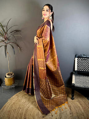 Regal Soft Silk Ikkat Pochampally Saree - view 4