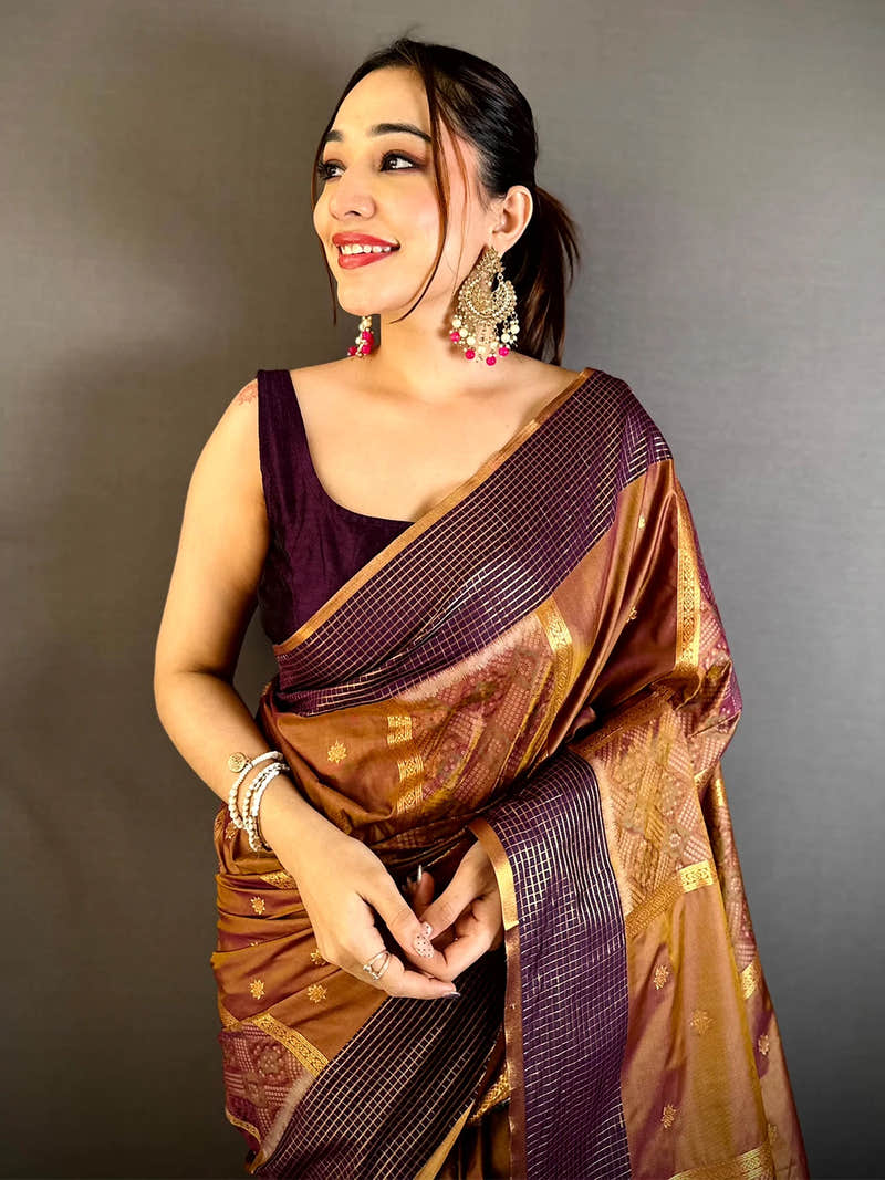 Regal Soft Silk Ikkat Pochampally Saree