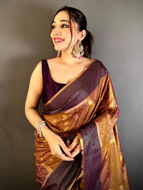 Regal Soft Silk Ikkat Pochampally Saree